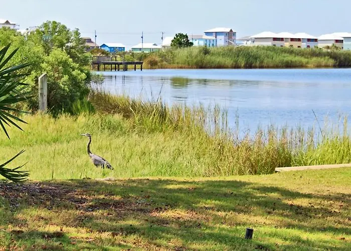 Compass Point 205 By Youngs Suncoast